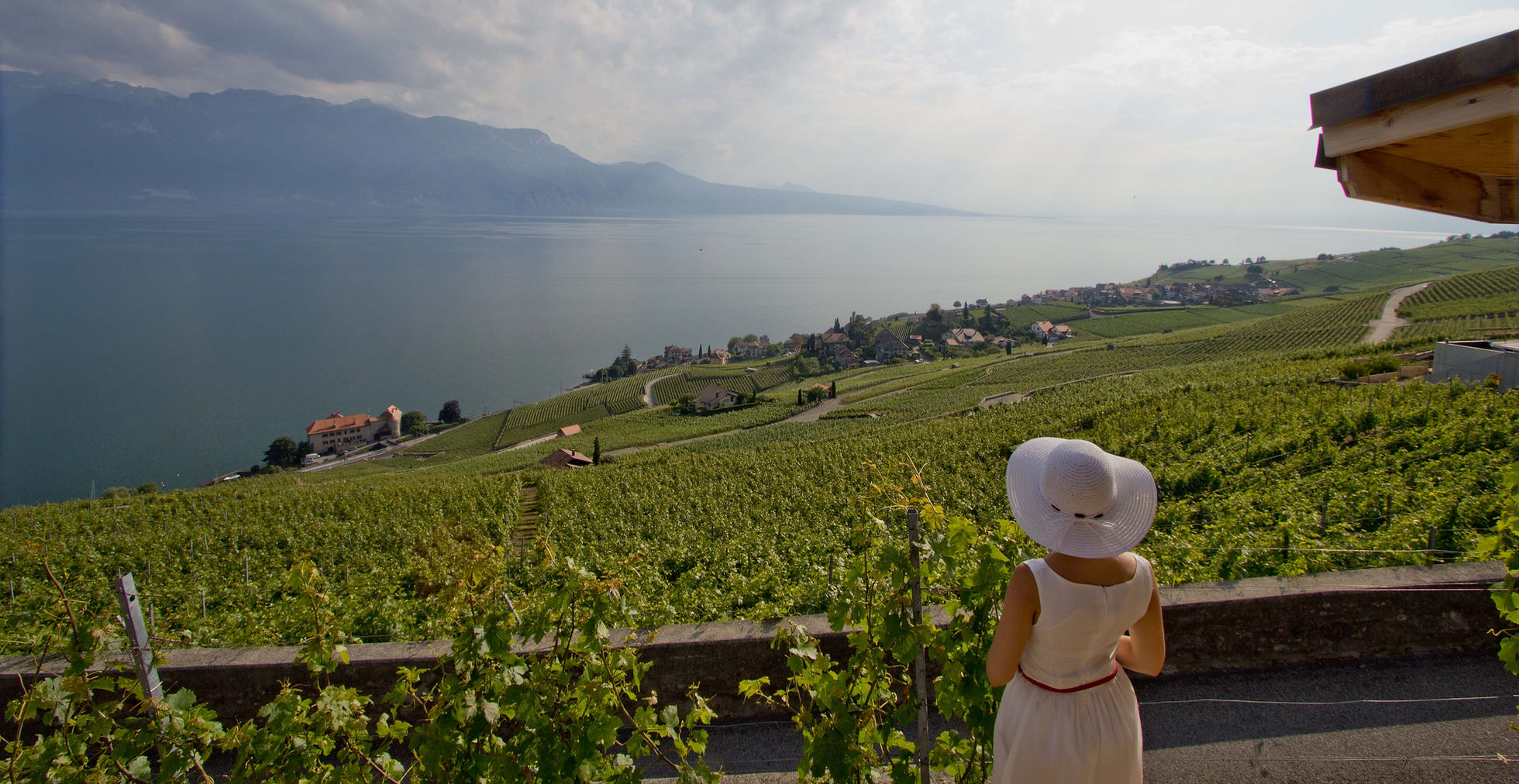 Vinhas de Lavaux