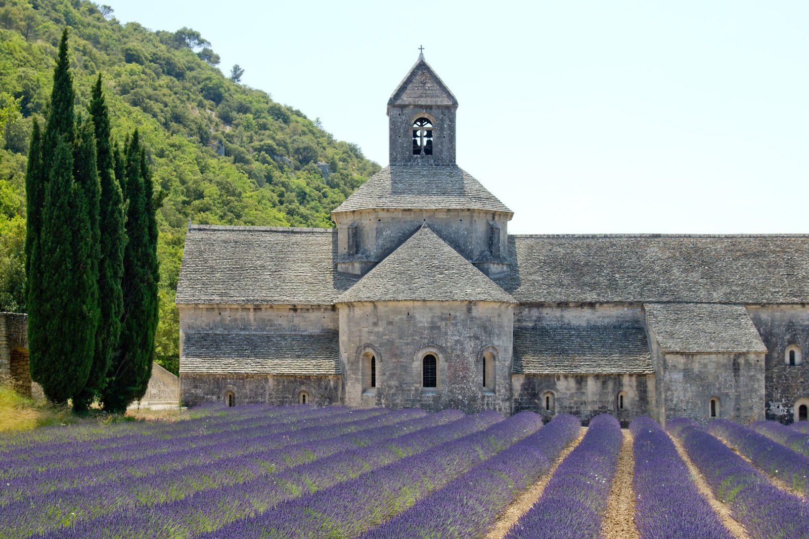 Abbaye de Sénanque, Provence